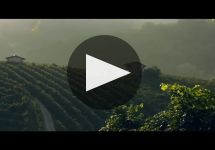 Mionetto Winery Video