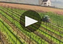 J. Hofstatter Winery Video