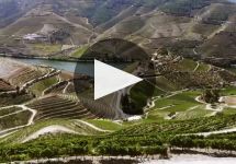 Quinta do Crasto Winery Video