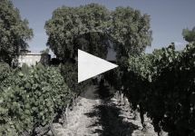 Chateau Pesquie Winery Video