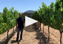 Band of Vintners Winery Video