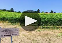 Tenute Neirano  Winery Video