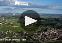 Chateau Lassegue 2019 | Wine.com