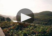 Graham's Graham's Winery Video