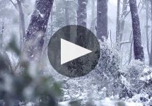 Jansz Tasmania Winery Video