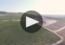 Bodegas Beronia New 100% Sustainable Winery Winery Video