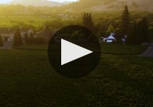 Paraduxx Paraduxx Winery Video