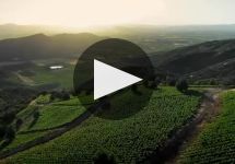 Terra Vega From Fruit to Bottle Winery Video