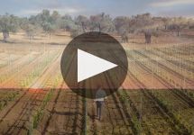 Castello Monaci Winery Video