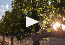 EnRoute Winery Winery Video