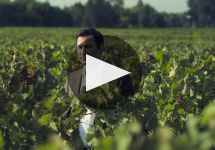 Lapostolle Winery Video