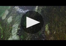 Bodegas Fillaboa Winery Video