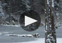 Woodinville Whiskey Co. Winery Video