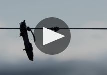 Babich Winery Video