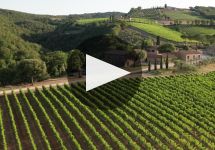 Il Molino di Grace  Winery Video