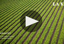 La Val Winery Video