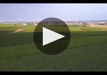 Veuve Clicquot Learn More About Veuve Cliquot Winery Video