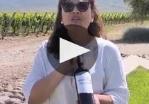 Baron Edmond de Rothschild  Winery Video