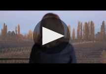 BenMarco  Winery Video