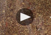 Bordiga Winery Video