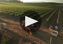 Dobbes Family Winery Dobbes Family Winery & Sustainability Winery Video