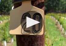 Keenan Keenan Winery Winery Video