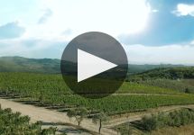 Frescobaldi Winery Video
