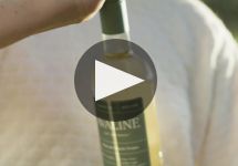 Avaline  Winery Video