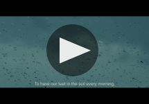 Louis Roederer Winery Video