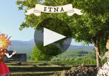 Donnafugata The Art of Donnafugata Winery Video