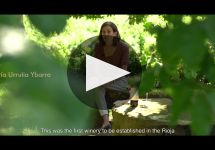 Contino Winery Video