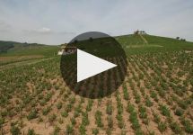 Domaine Gilles Coperet Domaine Gilles Coperet Winery Video