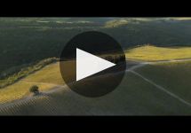 Castiglion del Bosco Winery Video