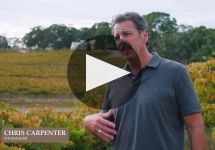 Hickinbotham Winery Video