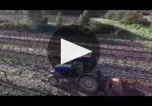 Chateau Montaud Winery Video