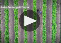 Kerr Cellars Winery Video
