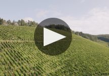 Karthauserhof Winery Video
