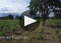 Hartford The Vineyards of Hartford Family Winery Video