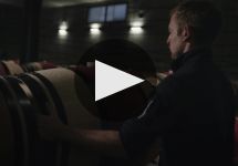 Tenuta Luce Winery Video