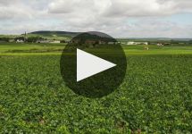 Champagne Thienot Winery Video