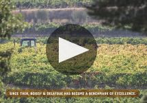 Boissy & Delaygue Winery Video