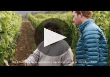 A to Z Winery Video