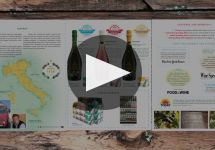 Cantine Cavicchioli Winery Video