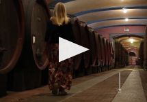 Fontanafredda Winery Video