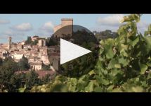 Domaine du Pere Caboche Winery Video