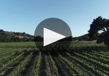 Fess Parker Fess Parker Winery Video