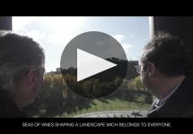 Bodegas Muga Winery Video