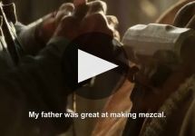 El Jolgorio Sons of Mezcal Winery Video