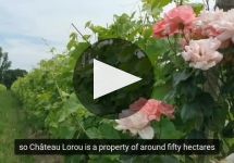 Chateau Laurou  Winery Video