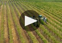 Luke Winery Video